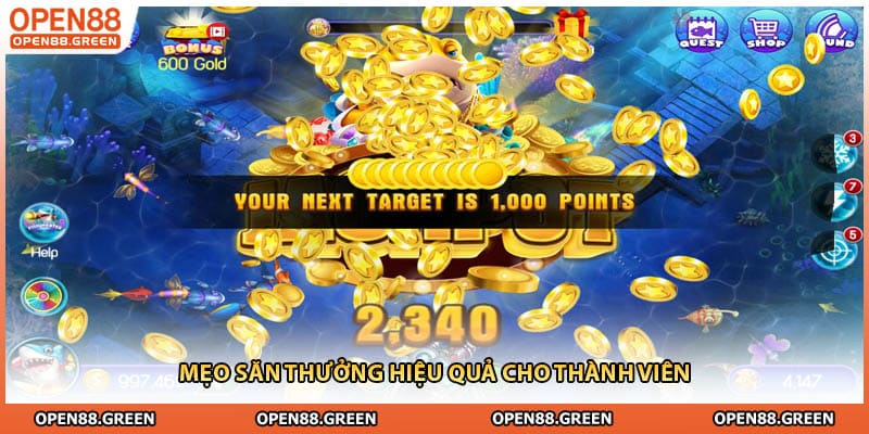 Mẹo săn thưởng hiệu quả cho thành viên